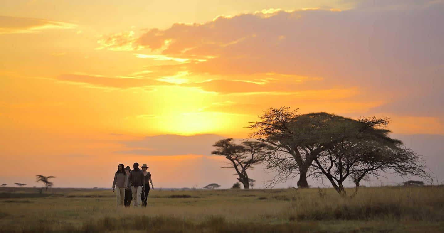 serengeti-national-park